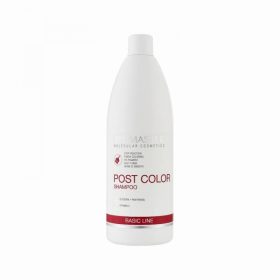 Spa Master Post Color Shampoo 970 ml